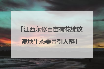 江西永修百亩荷花绽放 湿地生态美景引人醉